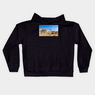 Elephans in the Wild Kids Hoodie